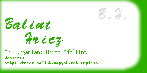 balint hricz business card